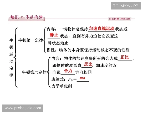 龙虎规律公式的最新研究成果与优化方案揭秘提升游戏策略的龙虎规律公式实用技巧全攻略